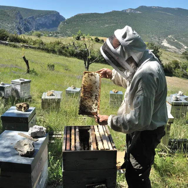 Miel & Délices du Verdon