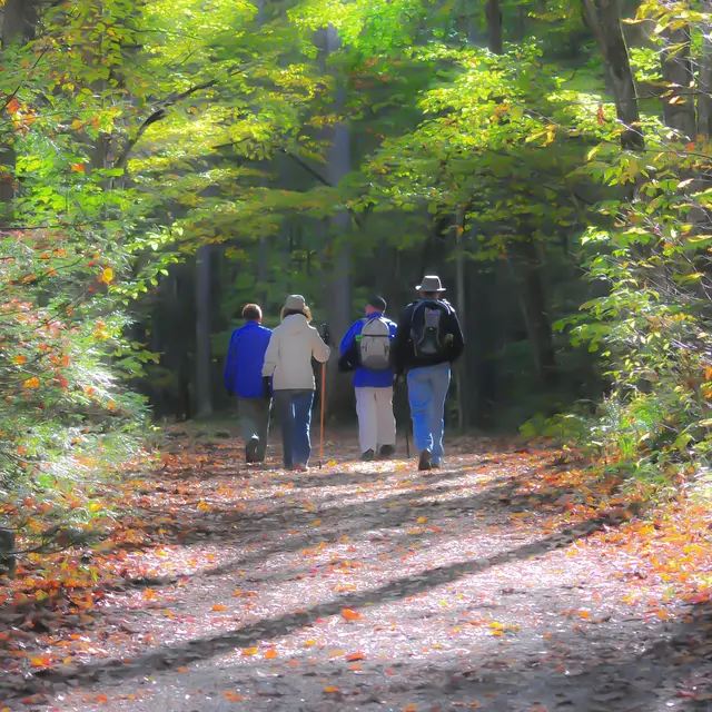 Marche d'automne