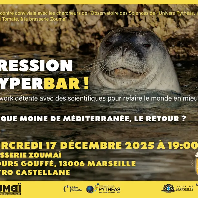 PRESSION HYPERBAR ! Phoque moine de Méditerranée, le retour ?