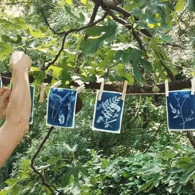 Viens voir la vie en bleu : atelier cyanotype_Entrecasteaux