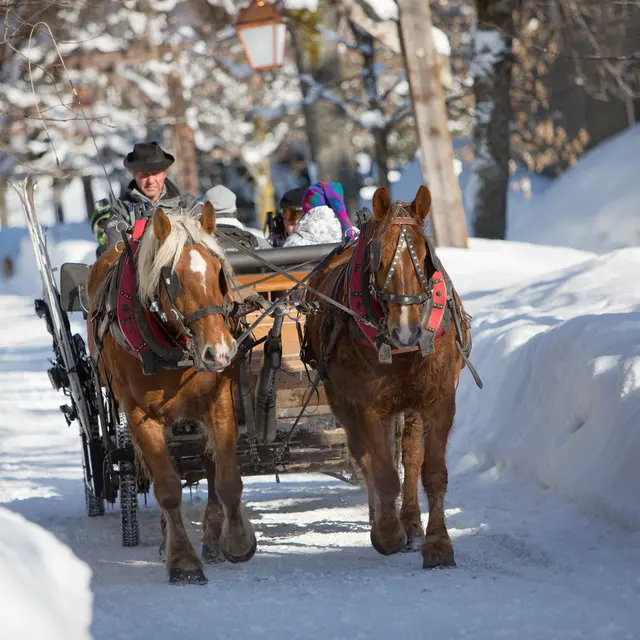 Calèches hiver