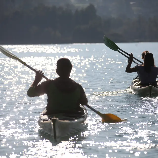 Navigation sur le lac d'Aiguebelette