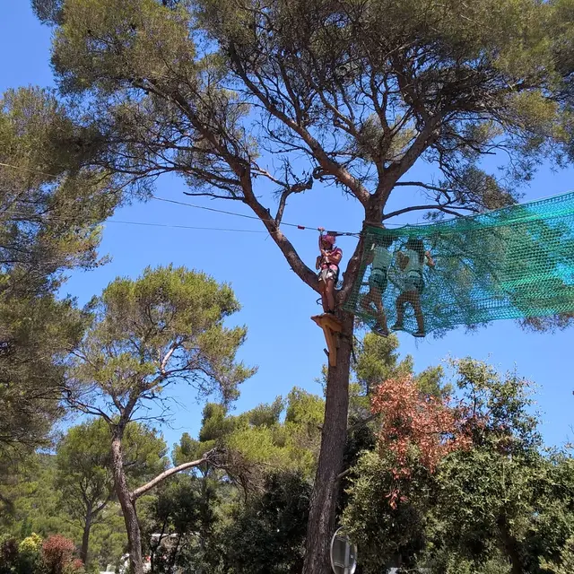 Parcours accrobranches : Cassis Forest