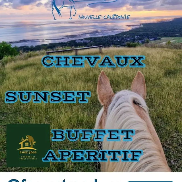 Apéritif Sunset en compagnie des chevaux - Far West Ranch_Bourail