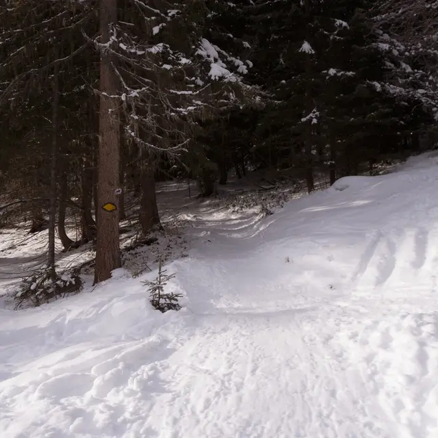 Sentier raquette N°2 - La Tzoumaz