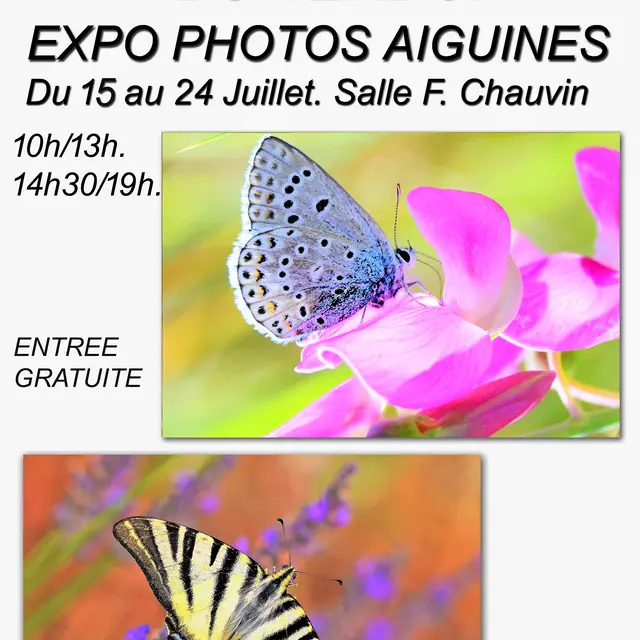 La magie des insectes du Verdon - exposition