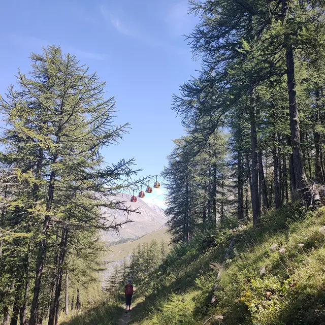 Bois des Fréaux sur le Kilomètre vertical avec les télécabines du téléphérique des glaciers de la Meije