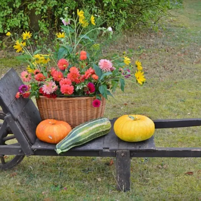 Marché Paysan du Verdon_Moustiers-Sainte-Marie