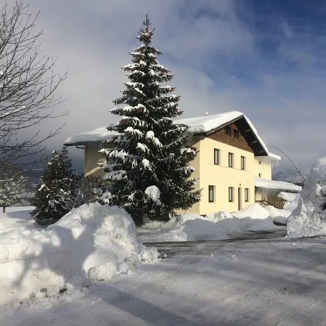 Les Gentianes Hiver