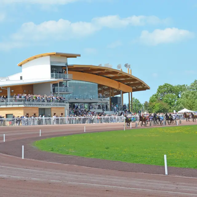 Courses à l'hippodrome_Châtelaillon-Plage