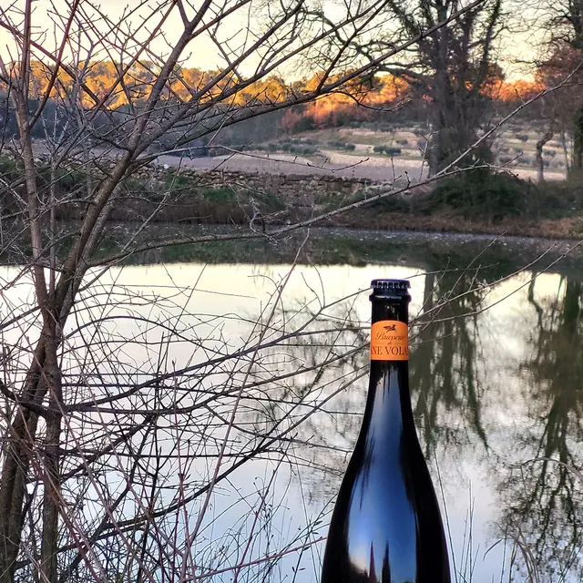 Brasserie de l'âne volant_Gonfaron