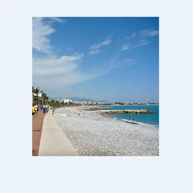 plage chiens CSM