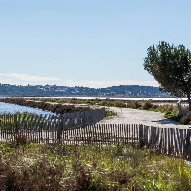 Exposition La saga des plantes libres_Hyères