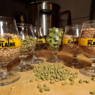 Journée de brassage