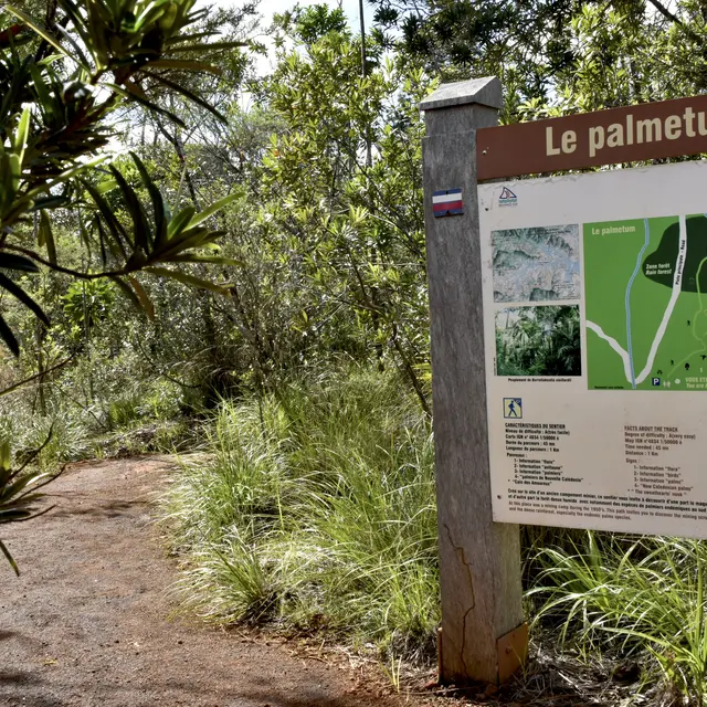 Sentier Palmetum