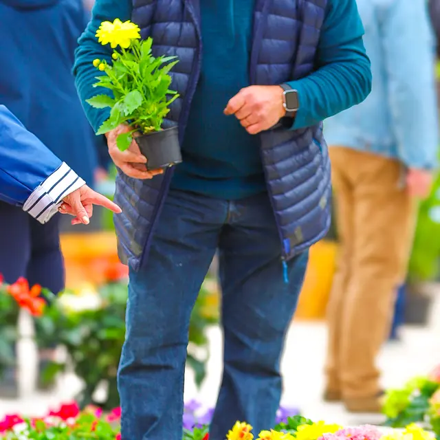 Marché de printemps 2026_Cusset