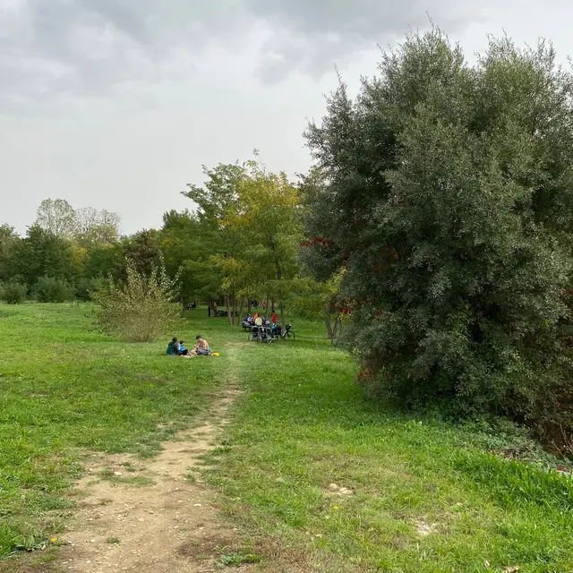 le long de la Galaure