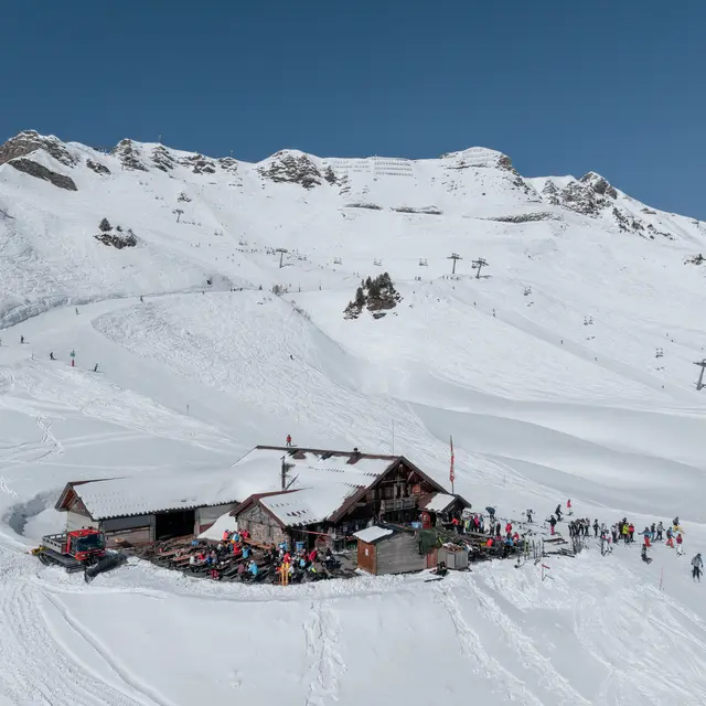 Chez yoyo et jibi