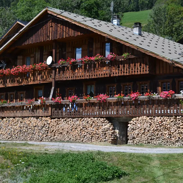 Appartment dans chalet à Abondance - Girard Despraulex Paul