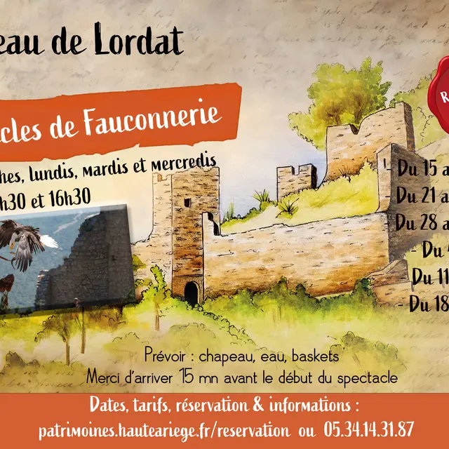 Spectacle fauconnerie