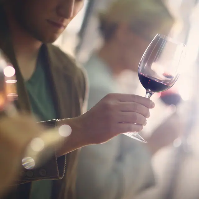 Vignerons de Tornac : Visites de la cave_Tornac