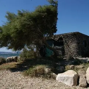 13VIS000731_1_WEB.jpg