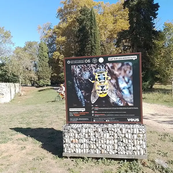 Expo nature « Cap sur les minuscules »_Villeneuve-Loubet