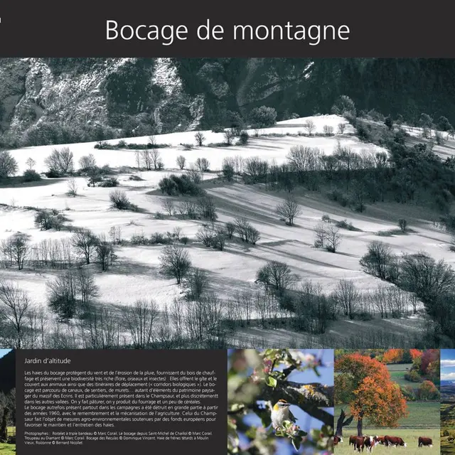 bocage_page-0001