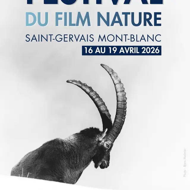 Affiche Festival du Film Nature