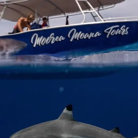 Moorea Moana Tours - Tahiti Tourisme