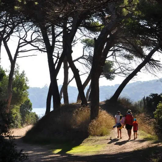 Camping le méditerranée hyeres giens badine plage