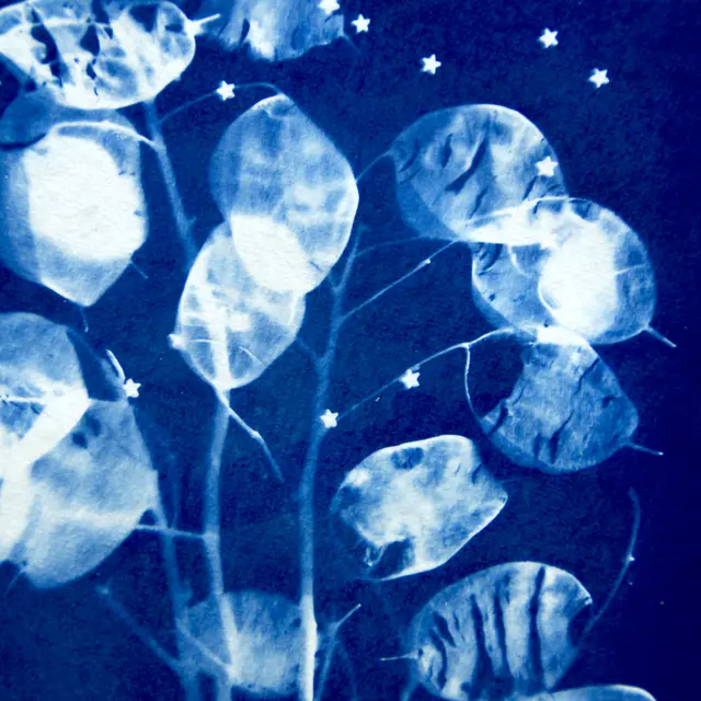 Atelier cyanotype_Vichy