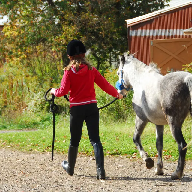 Balades poneys en main_Saint-Colomban-des-Villards
