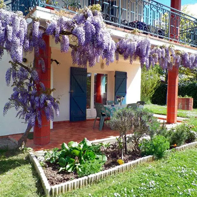 Gîte pour particuliers et professionnels Bed and Business Meublé Montauban Tarn-et-Garonne