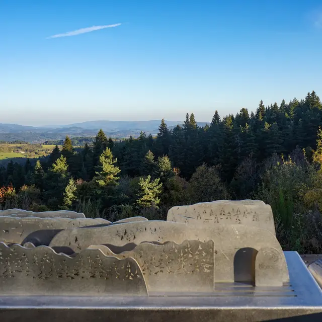 Balade ludique en forêt_La Valla-sur-Rochefort