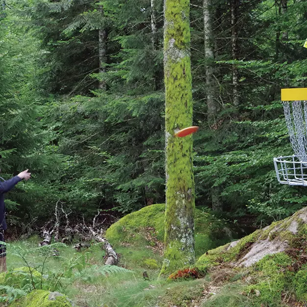 Disc Golf
