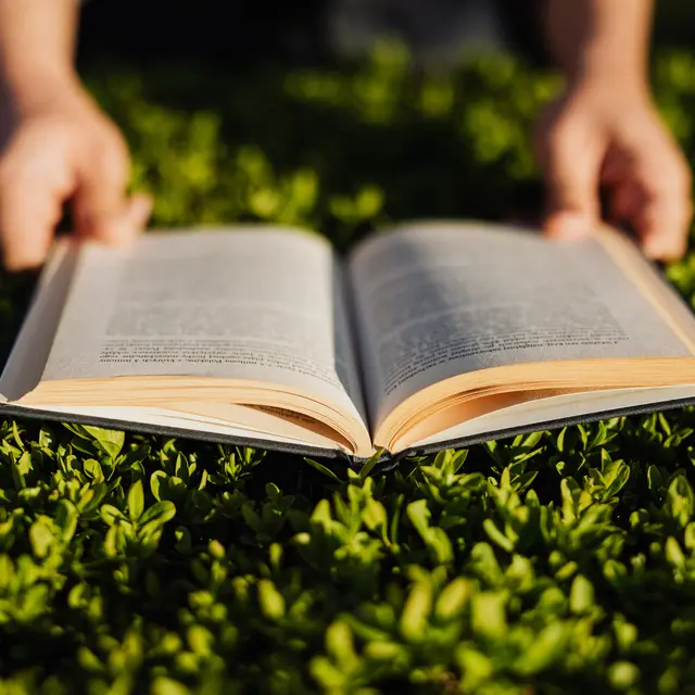 Lecture en plein air_Mont-Saxonnex