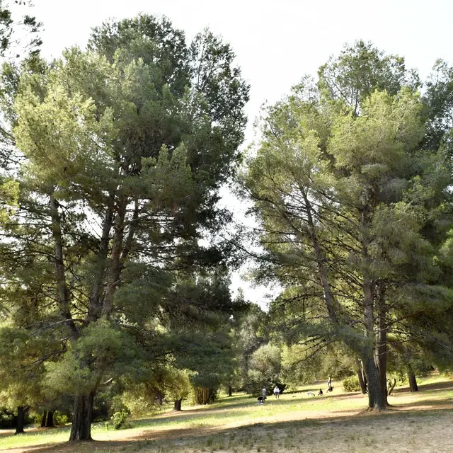 Parc de la Colline Saint-Joseph - Ville de Marseille