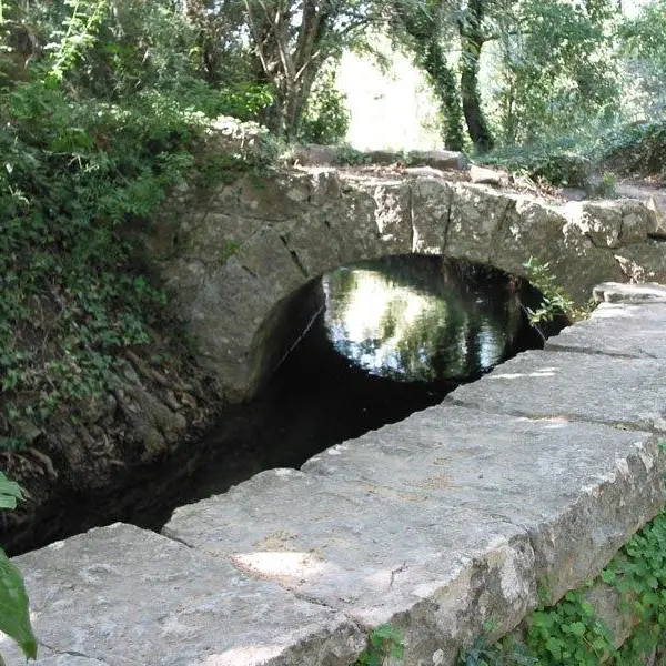 Canal de Ste Croix - Le Thoronet