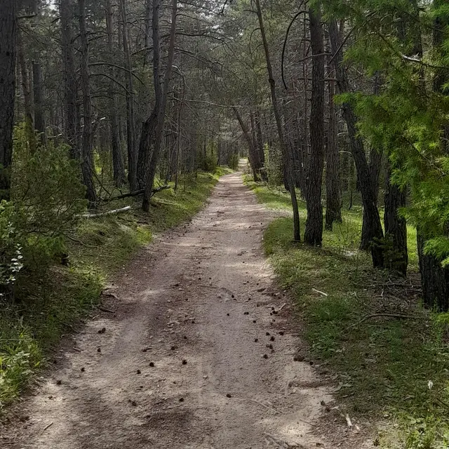N°5 Circuit VTT et Gravel : Les sources du Fontanil_Saint-Auban
