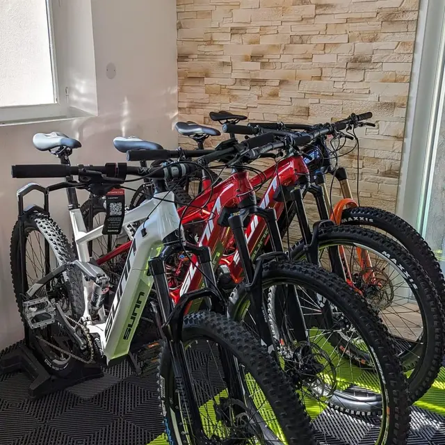 vélo à louer