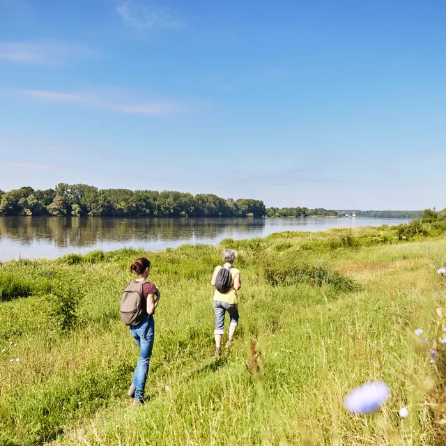 Randonnée le long de la Loire