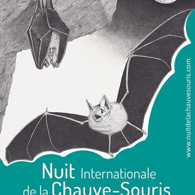 Soirée chauves-souris à La Ségalassière