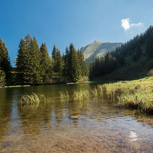 Lac de Damoz des Moulins