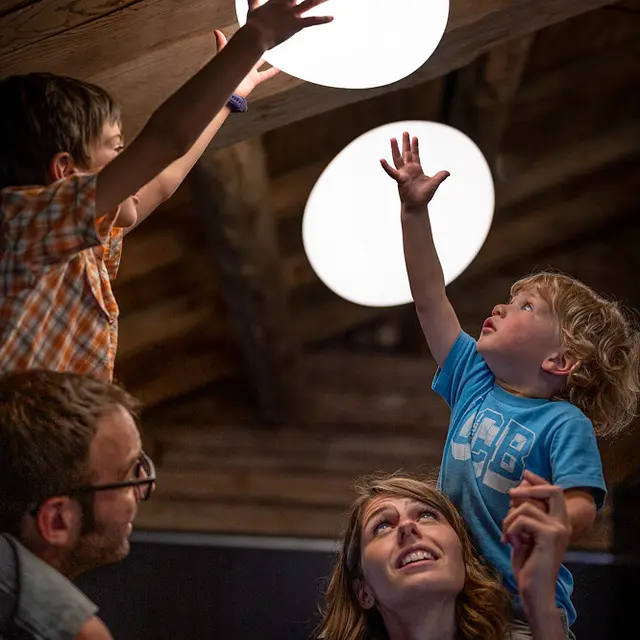 Le réveil des Animaux