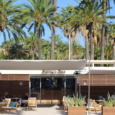 Harry's Bar Cannes