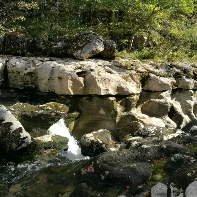 Sortie nature aux Pertes de la Valserine_Valserhône