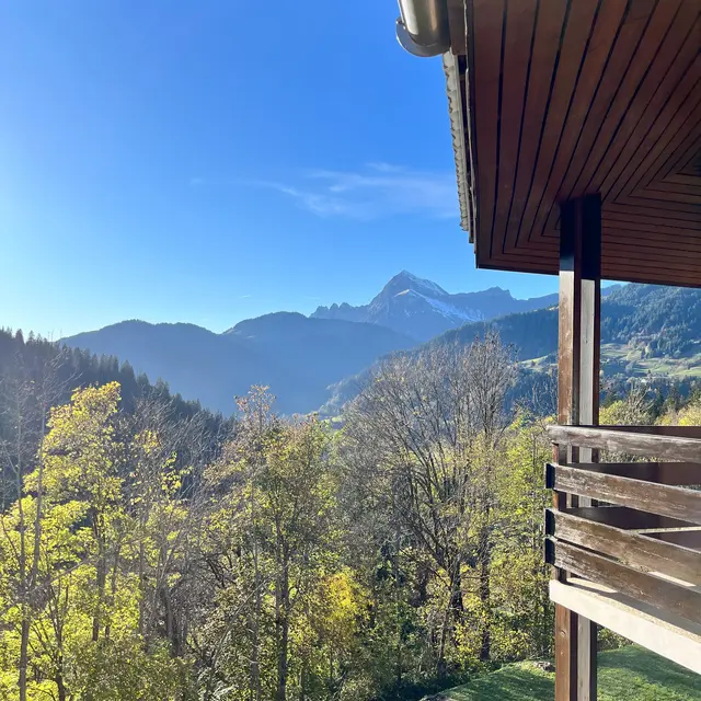 vue laterale balcon