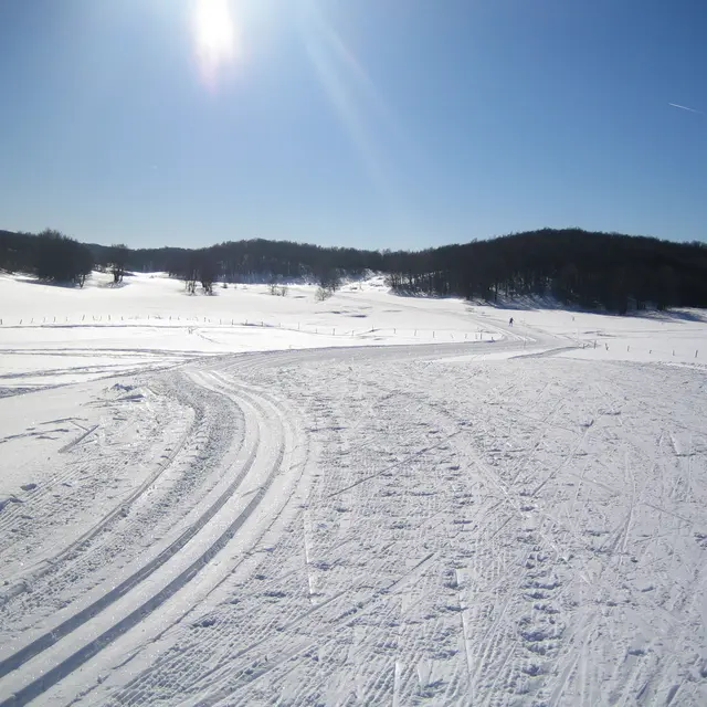 Ski Nordique aux Plans d'Hotonnes