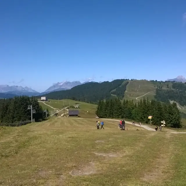 Bellevue
